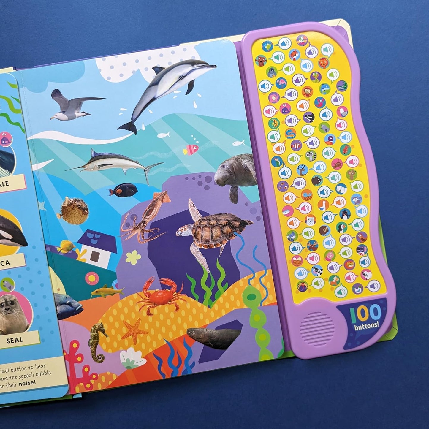 North Parade 100 Button Look and Find Animal Words and Sounds Interactive Sound Book for Kids