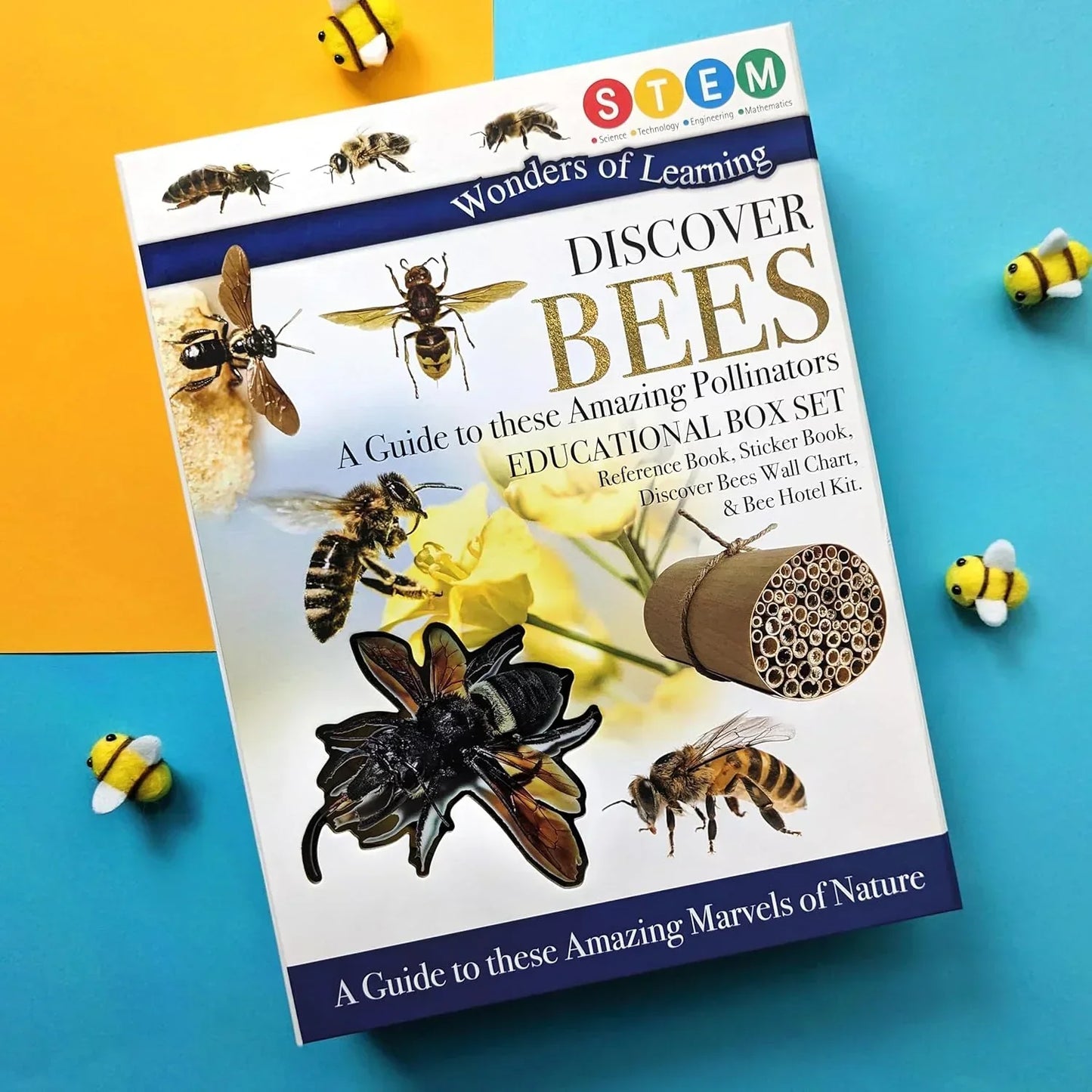 Wonders of Learning β Bees | Educational Paperback Book for Kids
