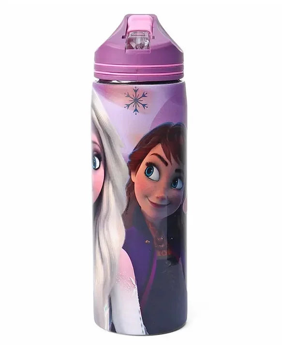 Striders Disney Frozen Printed Stainless Steel Sipper Bottle - 700Ml - Jaiman Toys