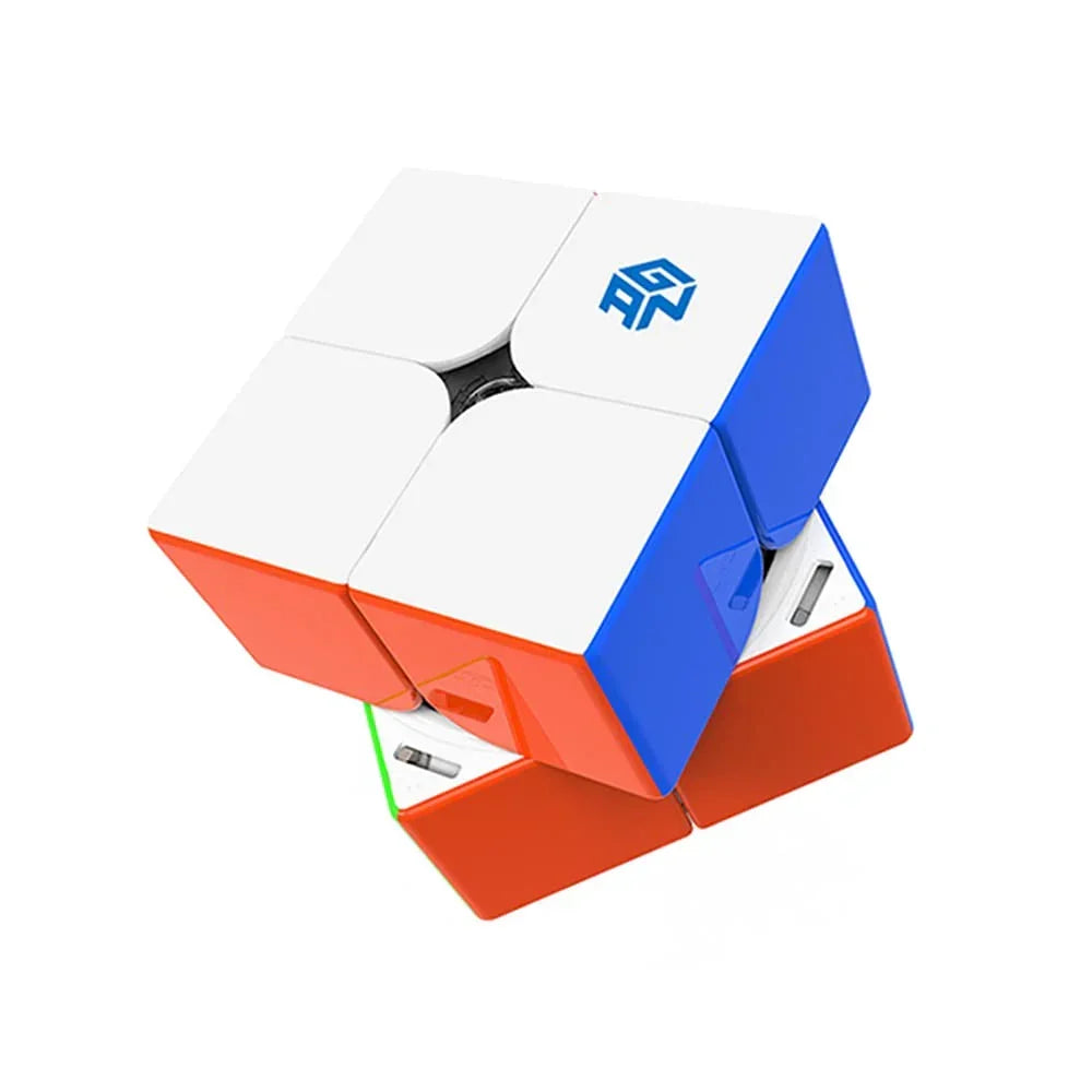 GANCUBE GAN 251 M Pro 2X2 Stickerless Magic Cube Puzzle, Adult