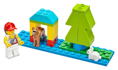LEGO Education 45401 BricQ Motion Essential Set   STEM Physics Kit for Classrooms
