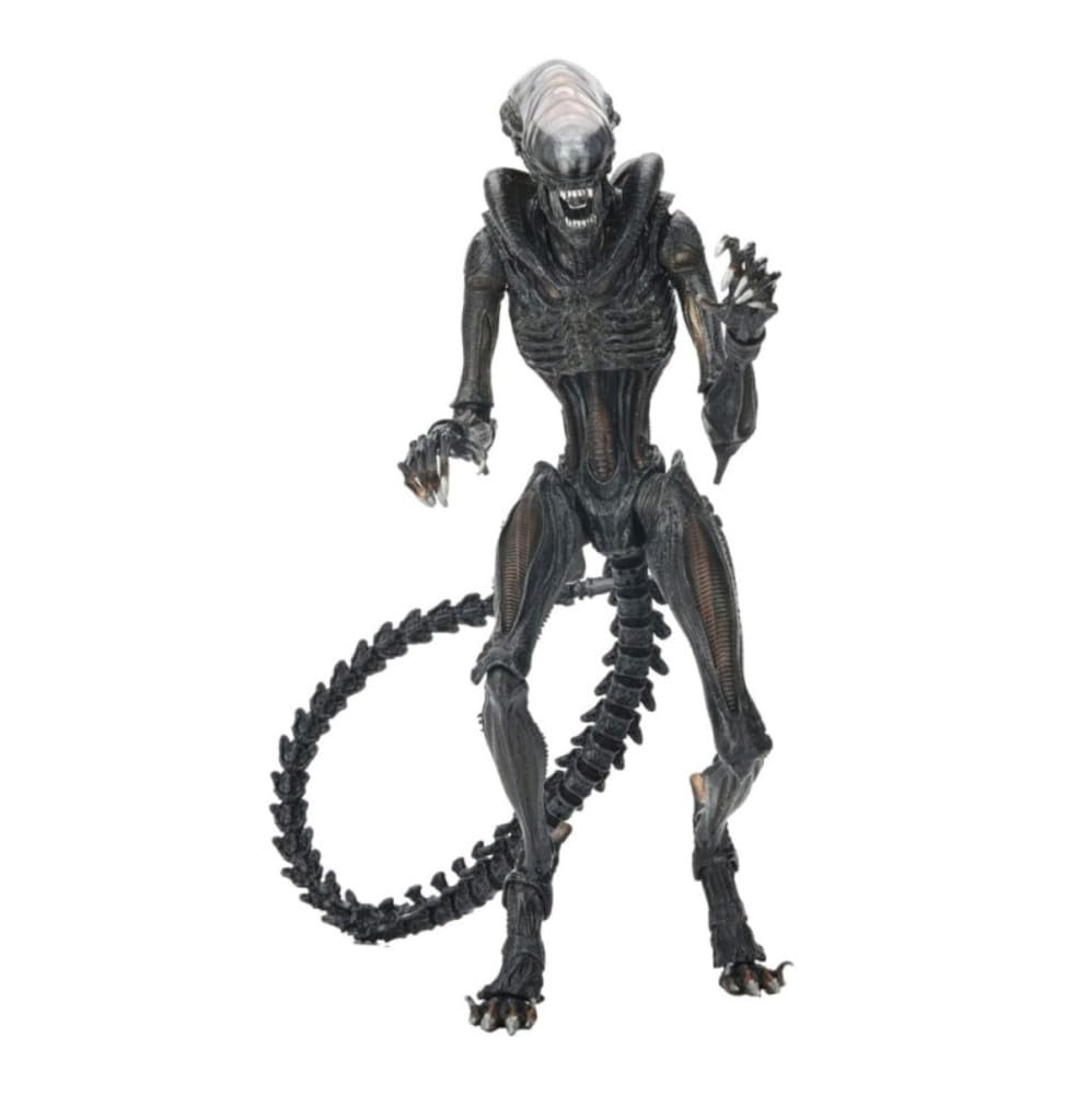 Alien Romulus Xenomorph Action Figure (9 Inch) – Movie Collectible with Multiple Accessories & Display Stand