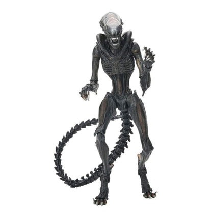 Alien Romulus Xenomorph Action Figure (9 Inch) – Movie Collectible with Multiple Accessories & Display Stand