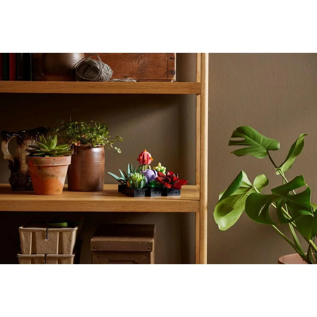LEGO 10309 Succulents Plant Decor Building Kit For The Kids Age 18+ (771 Pieces) - Botanical Collection