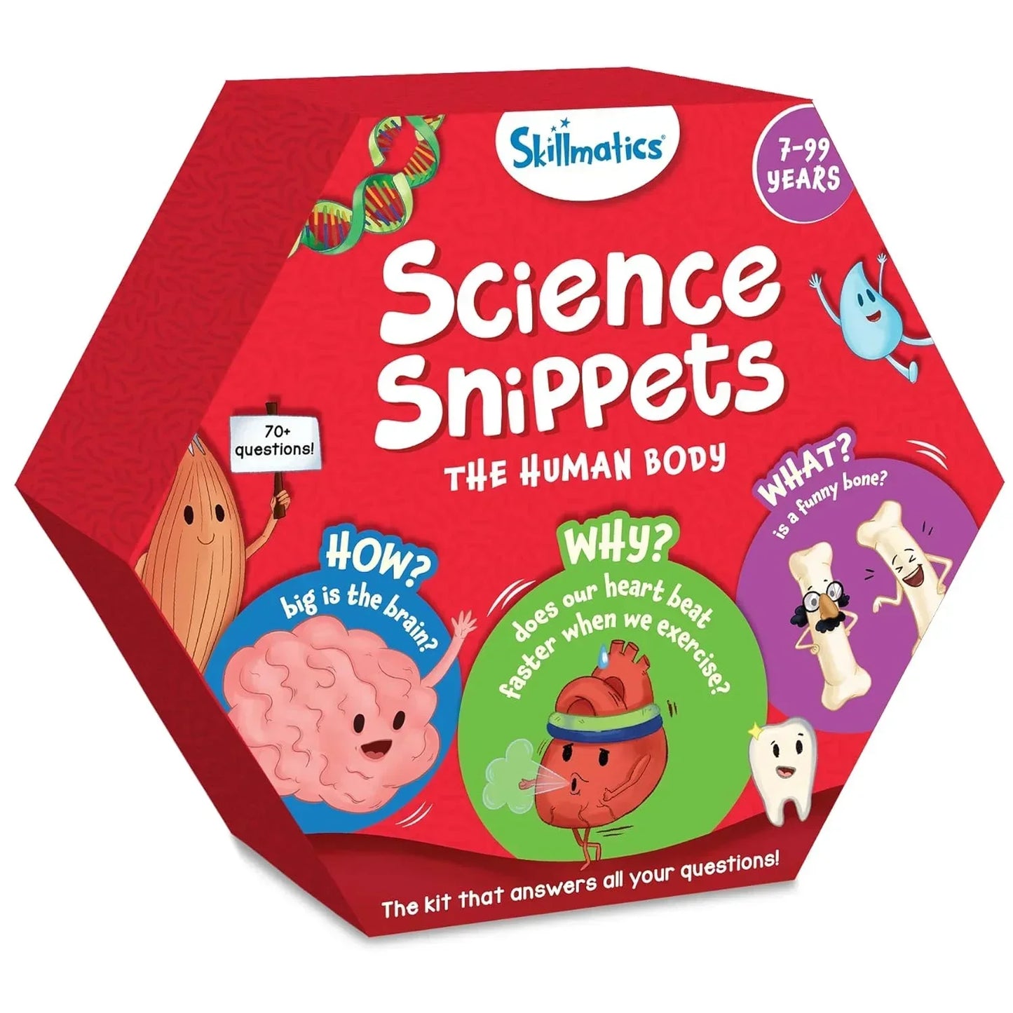 Skillmatics Flash Cards - Science Snippets The Human Body, Learning Resources & Educational Toys for Boys & Girls, Gifts for Ages 7, 8, 9 & Up, 70+ Cards - Jaiman Toys