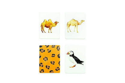 You Callin’ Me a Cheetah? I’m a Leopard! – Fun Animal Memory Card Game for Kids & Families - Jaiman Toys