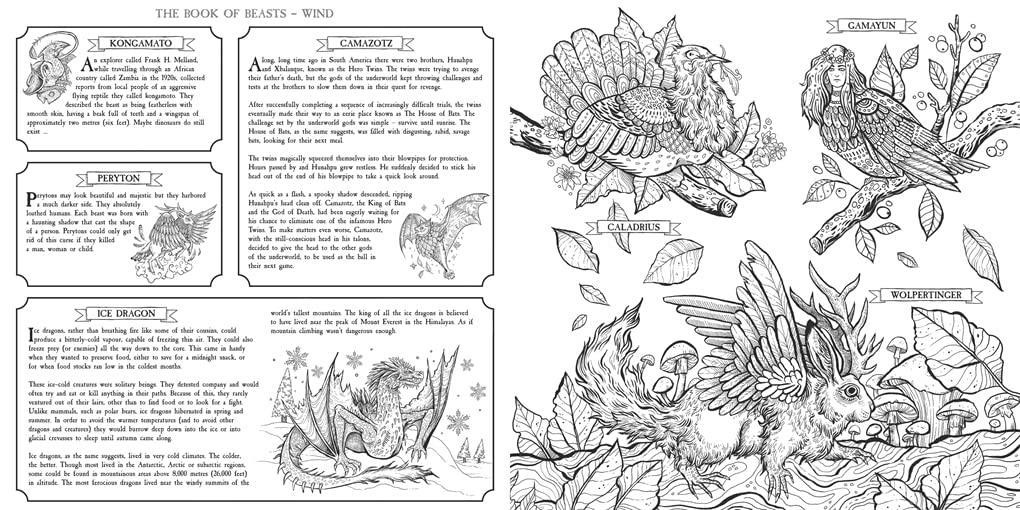 The Book of Beasts: Color and Discover – A Mythical Journey Illustrated by Angela Rizza | Written & Edited by Jonny Marx - Jaiman Toys