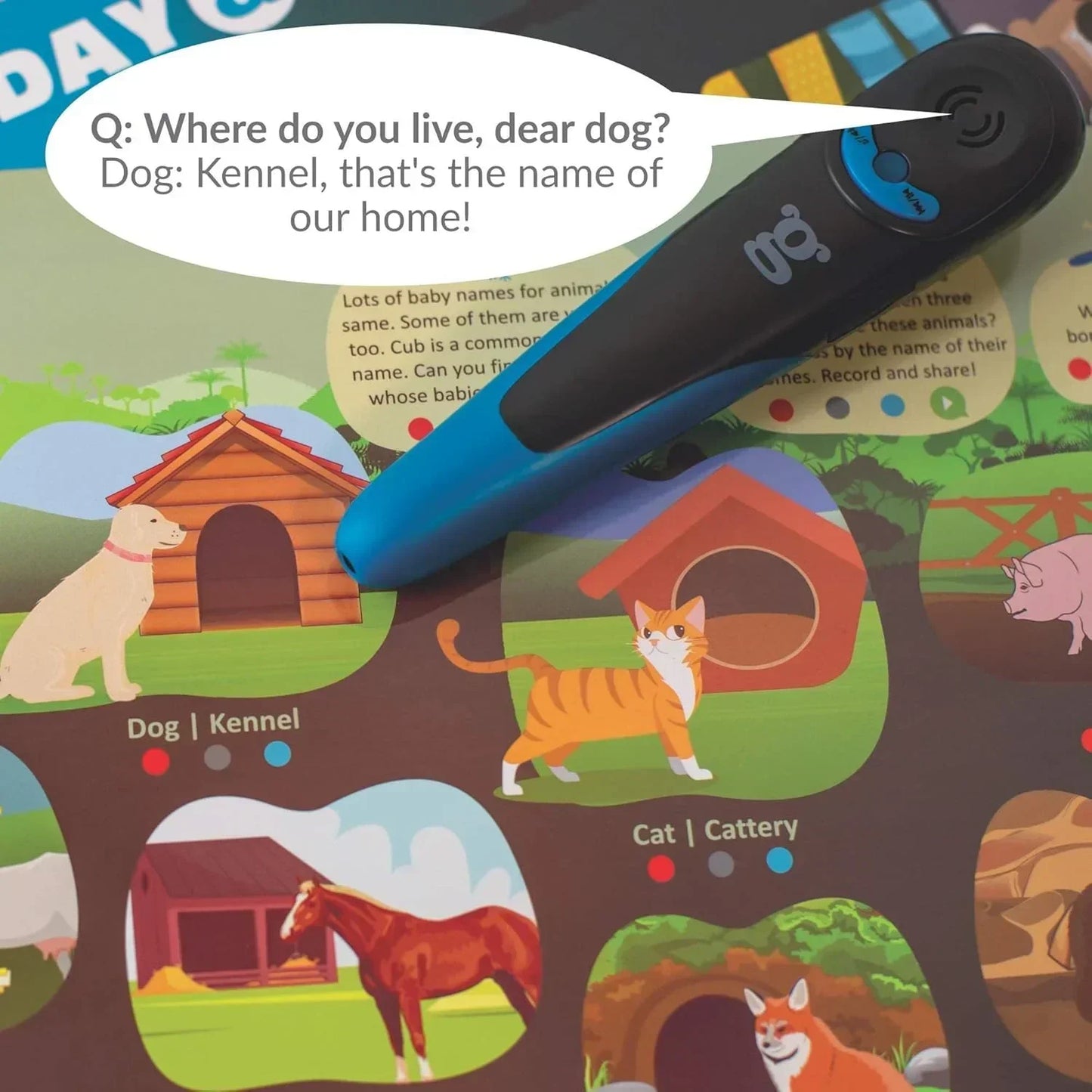 goDiscover Kinder Smart Interactive Learning Posters with Talking Pen | 18 Educational Charts for Kids (3–6 Years)