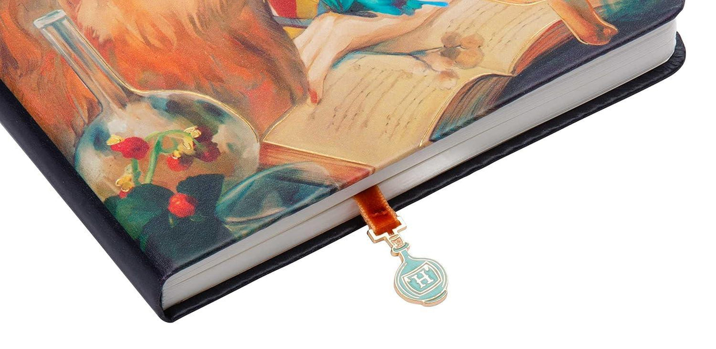 Harry Potter Hermione Granger Hardcover Ruled Journal – By Insight Editions