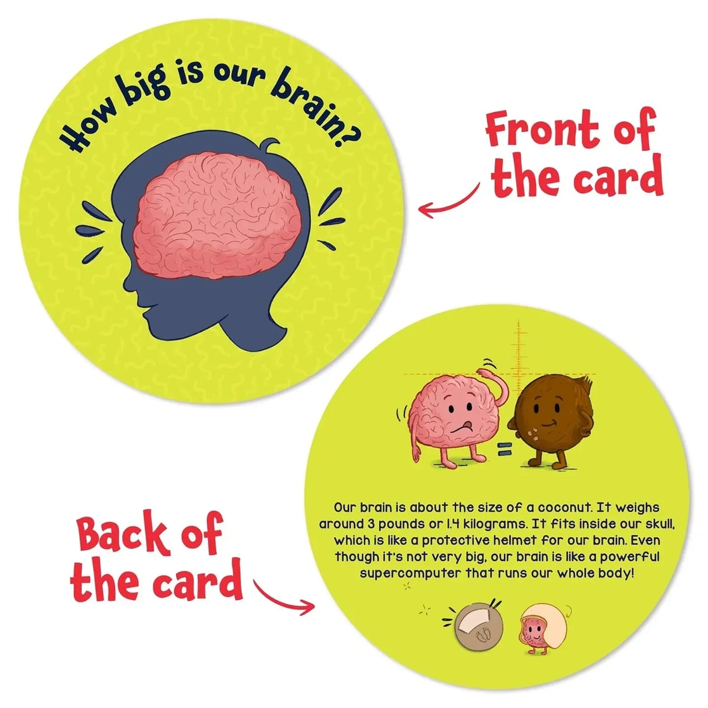 Skillmatics Flash Cards - Science Snippets The Human Body, Learning Resources & Educational Toys for Boys & Girls, Gifts for Ages 7, 8, 9 & Up, 70+ Cards - Jaiman Toys