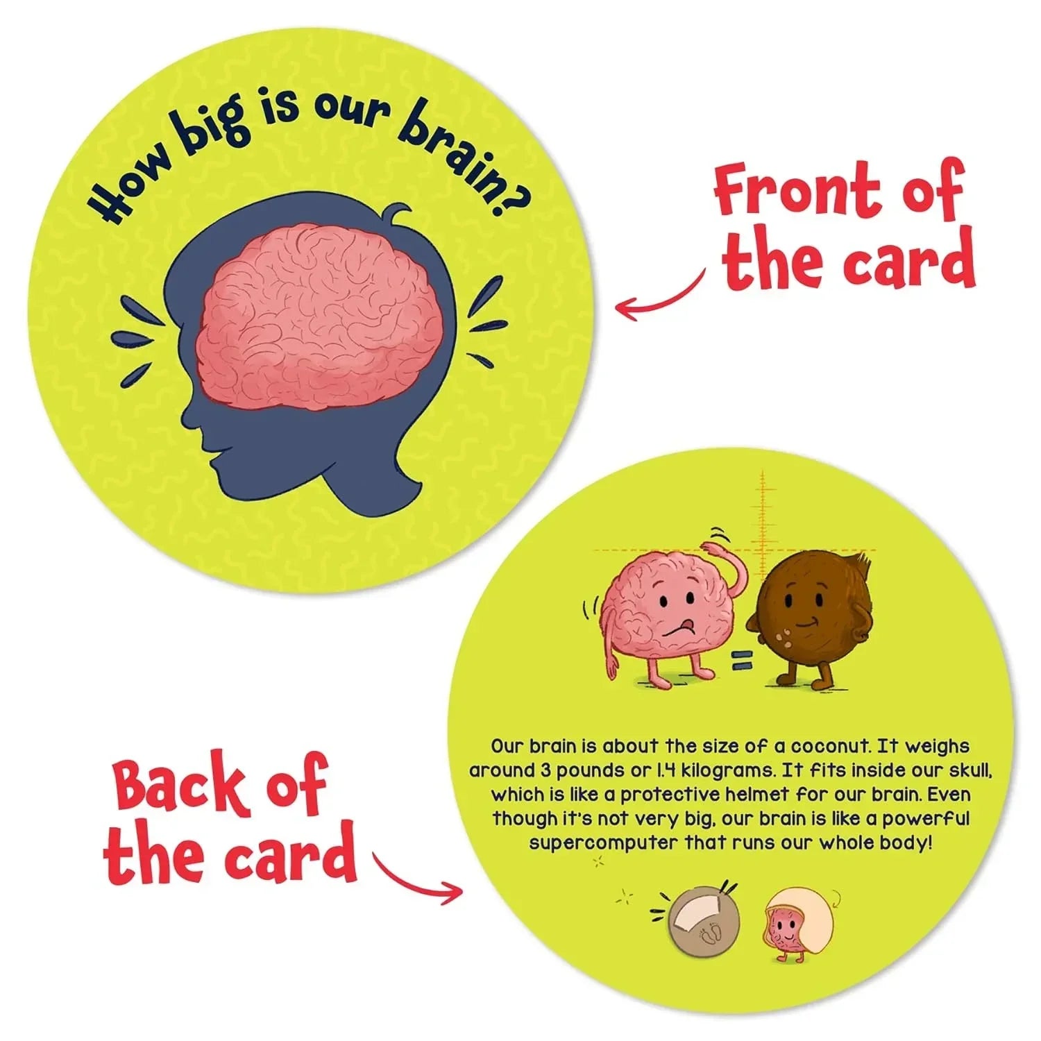 Skillmatics Flash Cards - Science Snippets The Human Body, Learning Resources & Educational Toys for Boys & Girls, Gifts for Ages 7, 8, 9 & Up, 70+ Cards - Jaiman Toys