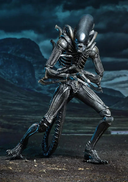 NECA - ALIENS! CARTTER J. BRUKE &amp; XENOMORPH WARRIOR - NECA Exclusive Action Figures Age 17+ - Jaiman Toys