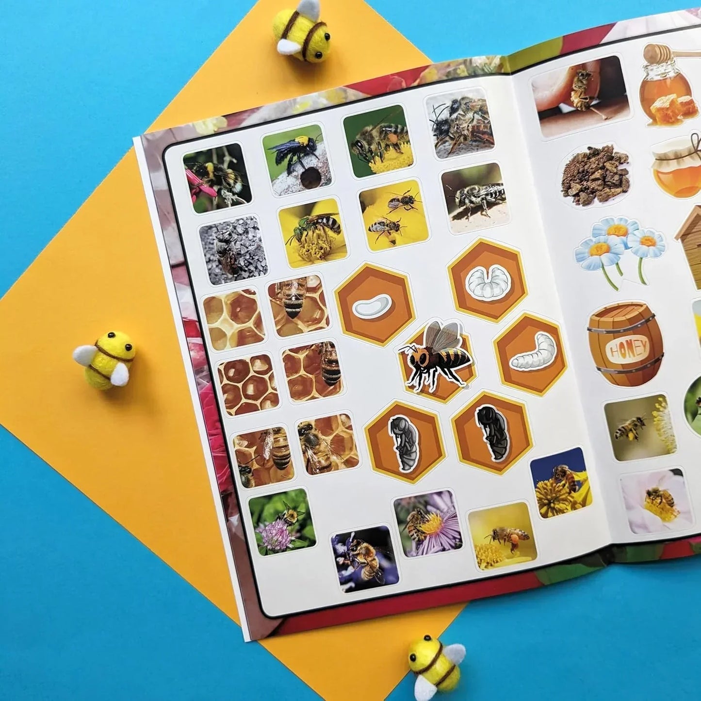 Wonders of Learning – Bees | Educational Paperback Book for Kids