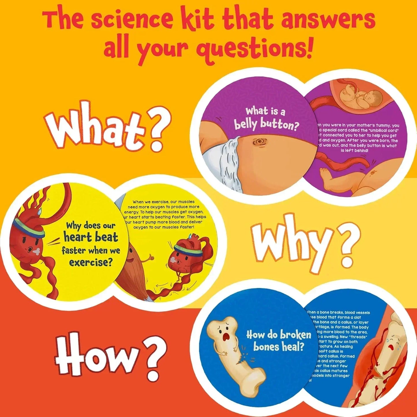 Skillmatics Flash Cards - Science Snippets The Human Body, Learning Resources & Educational Toys for Boys & Girls, Gifts for Ages 7, 8, 9 & Up, 70+ Cards - Jaiman Toys