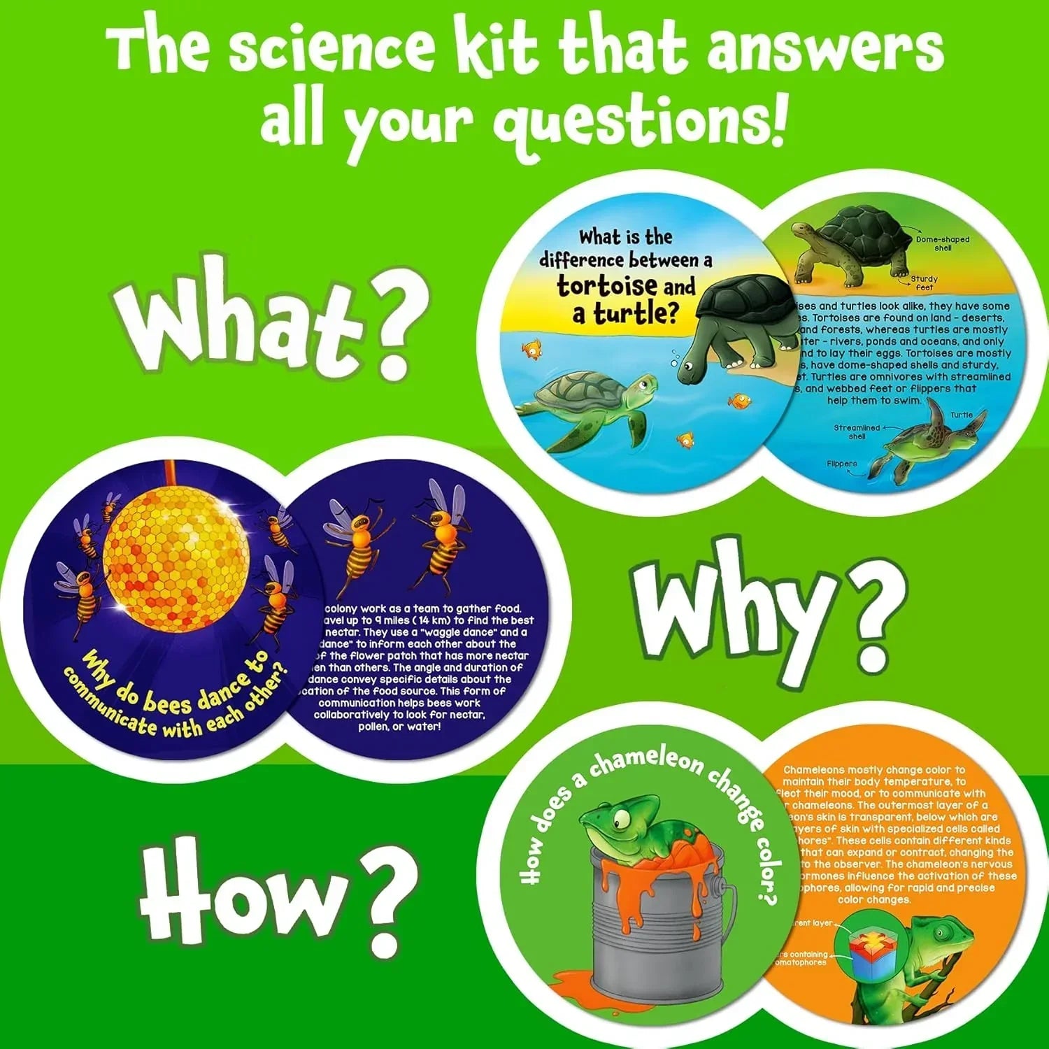 Skillmatics Flash Cards - Science Snippets Animals, Learning Resources & Educational Toys for Boys & Girls, Gifts for Ages 7, 8, 9 & Up, 70+ Cards - Jaiman Toys