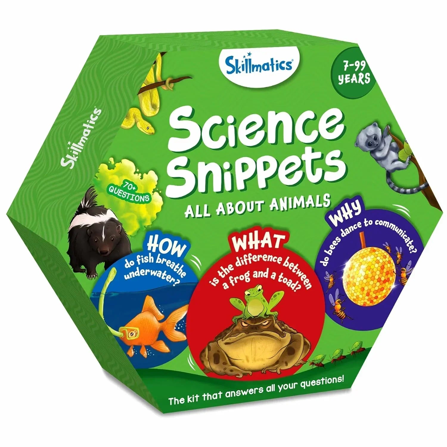 Skillmatics Flash Cards - Science Snippets Animals, Learning Resources & Educational Toys for Boys & Girls, Gifts for Ages 7, 8, 9 & Up, 70+ Cards - Jaiman Toys