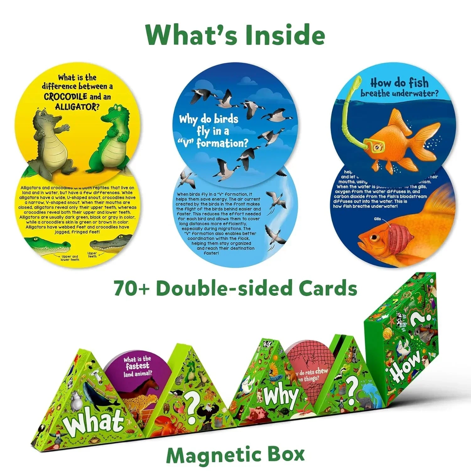 Skillmatics Flash Cards - Science Snippets Animals, Learning Resources & Educational Toys for Boys & Girls, Gifts for Ages 7, 8, 9 & Up, 70+ Cards - Jaiman Toys