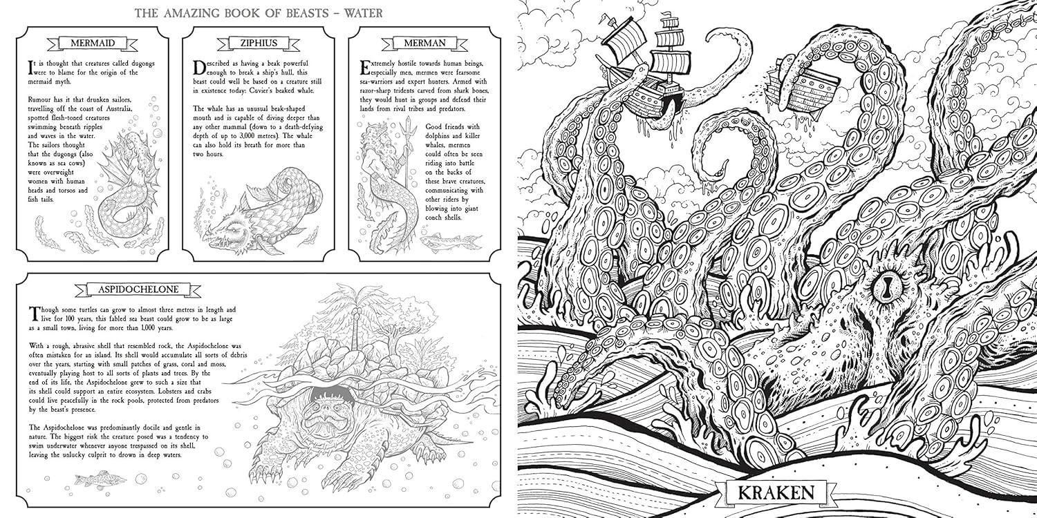 The Book of Beasts: Color and Discover – A Mythical Journey Illustrated by Angela Rizza | Written & Edited by Jonny Marx - Jaiman Toys