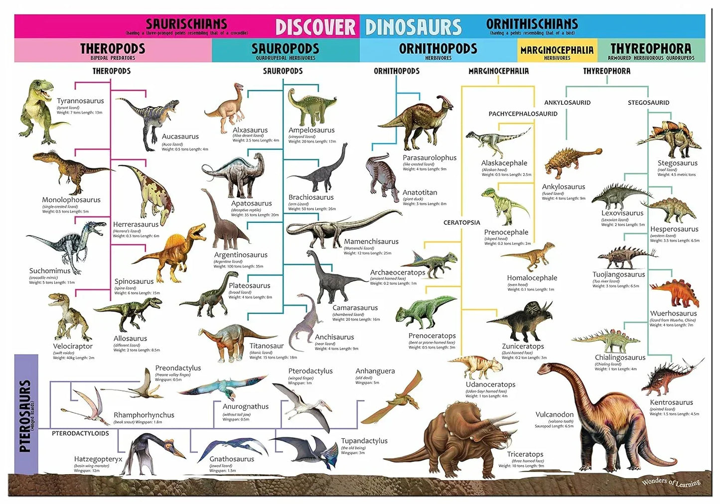 Wonders of Learning – Discover Dinosaurs Educational Box Set | Kids Dinosaur Learning Kit
