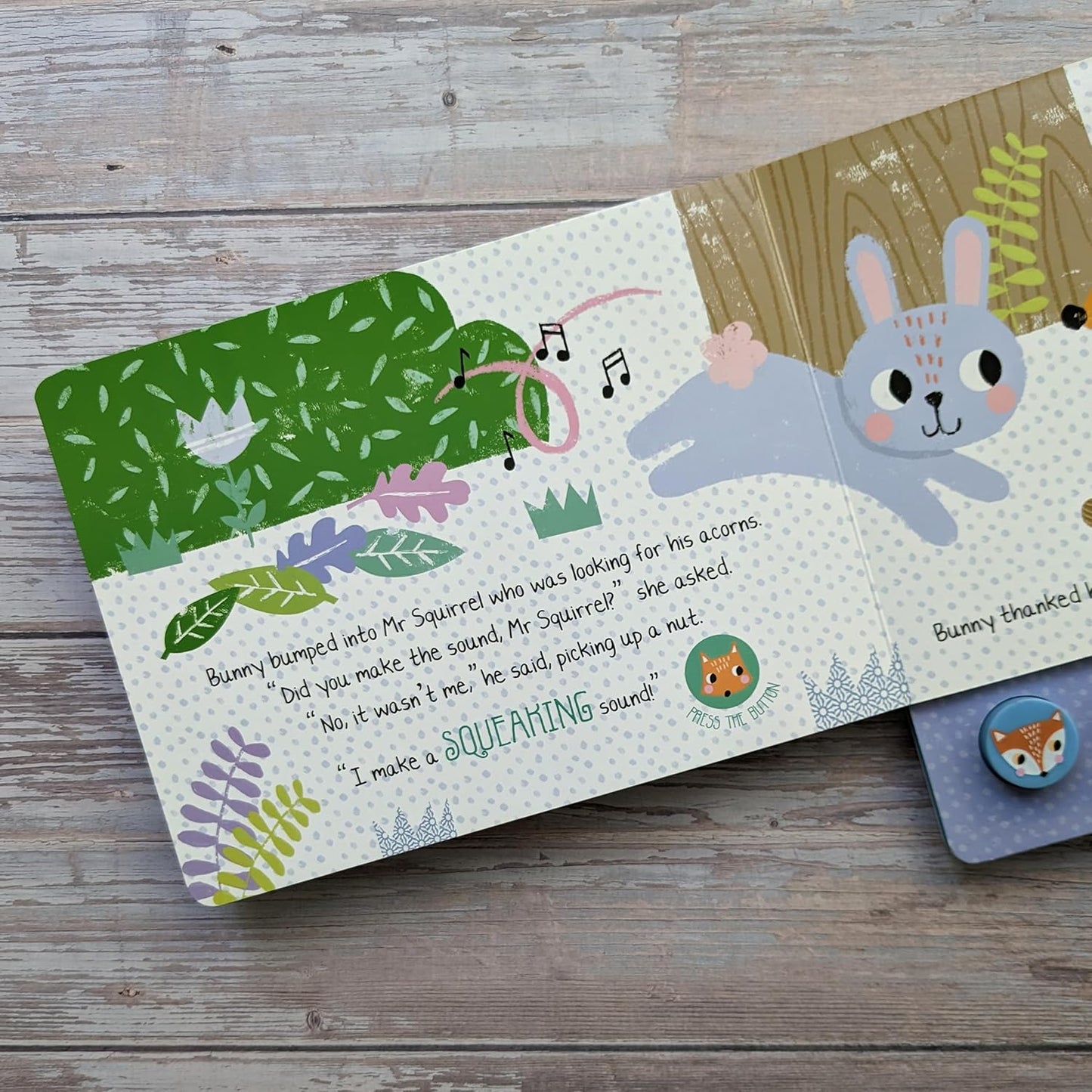 North Parade What Did Bunny Hear? Press and Play Squishy Sound Book for Kids