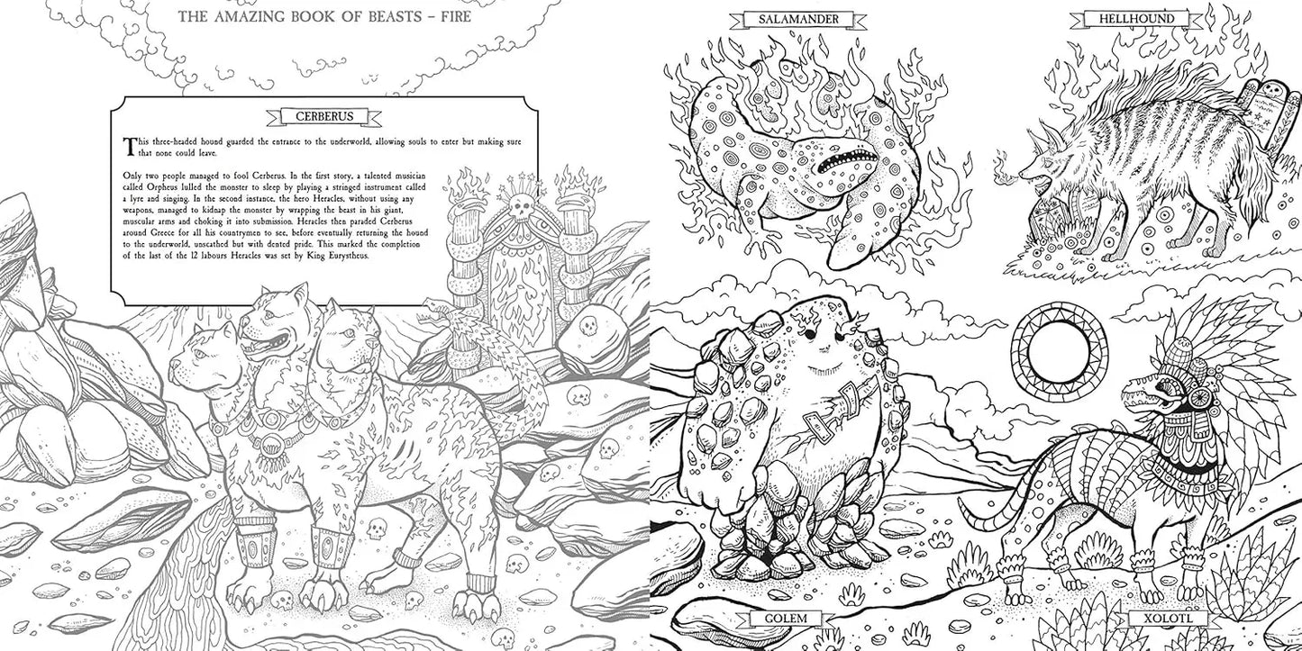 The Book of Beasts: Color and Discover – A Mythical Journey Illustrated by Angela Rizza | Written & Edited by Jonny Marx - Jaiman Toys