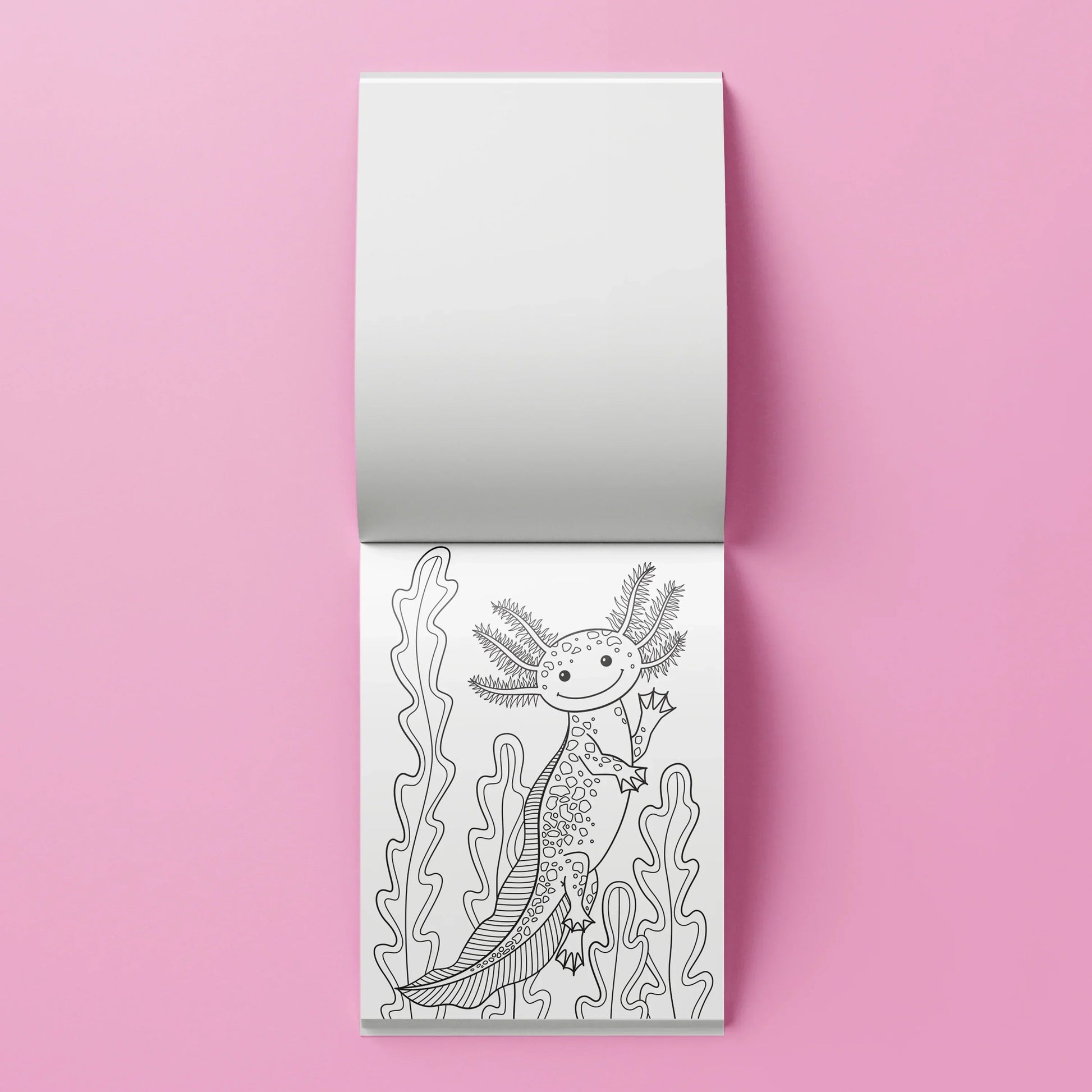 Kaleidoscope Colouring Kit: Axolotls - Jaiman Toys