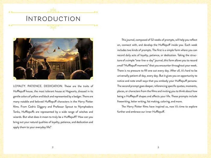Harry Potter: Loyalty: A Guided Journal for Embracing Your Inner Hufflepuff - Jaiman Toys