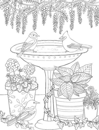 Creative Pages Coloring Book Garden Bliss - Jaiman Toys