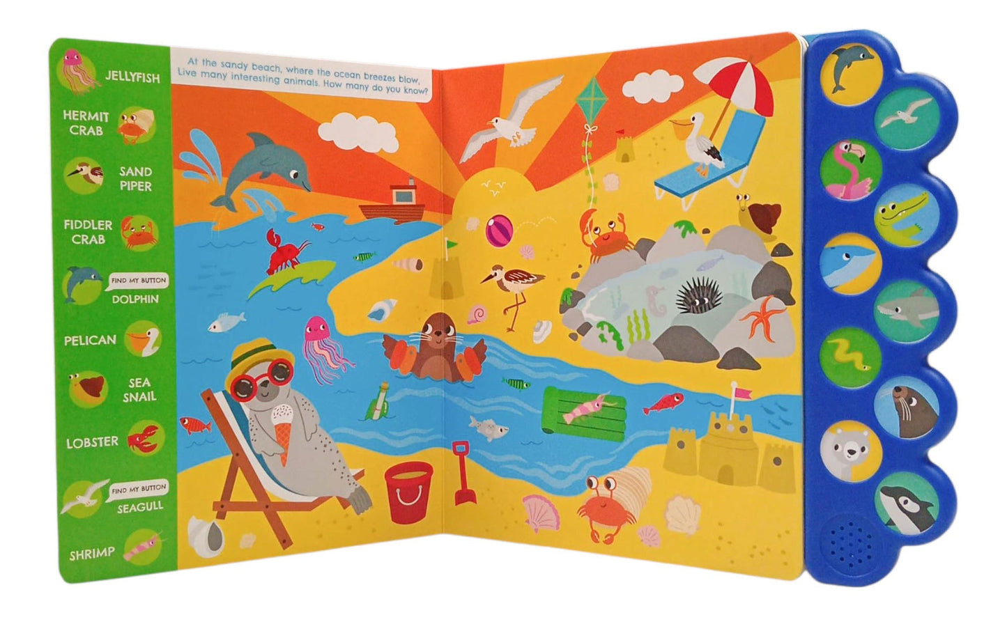 Look and Find Noisy Ocean Sound Book with 10 Ocean Sounds for Kids