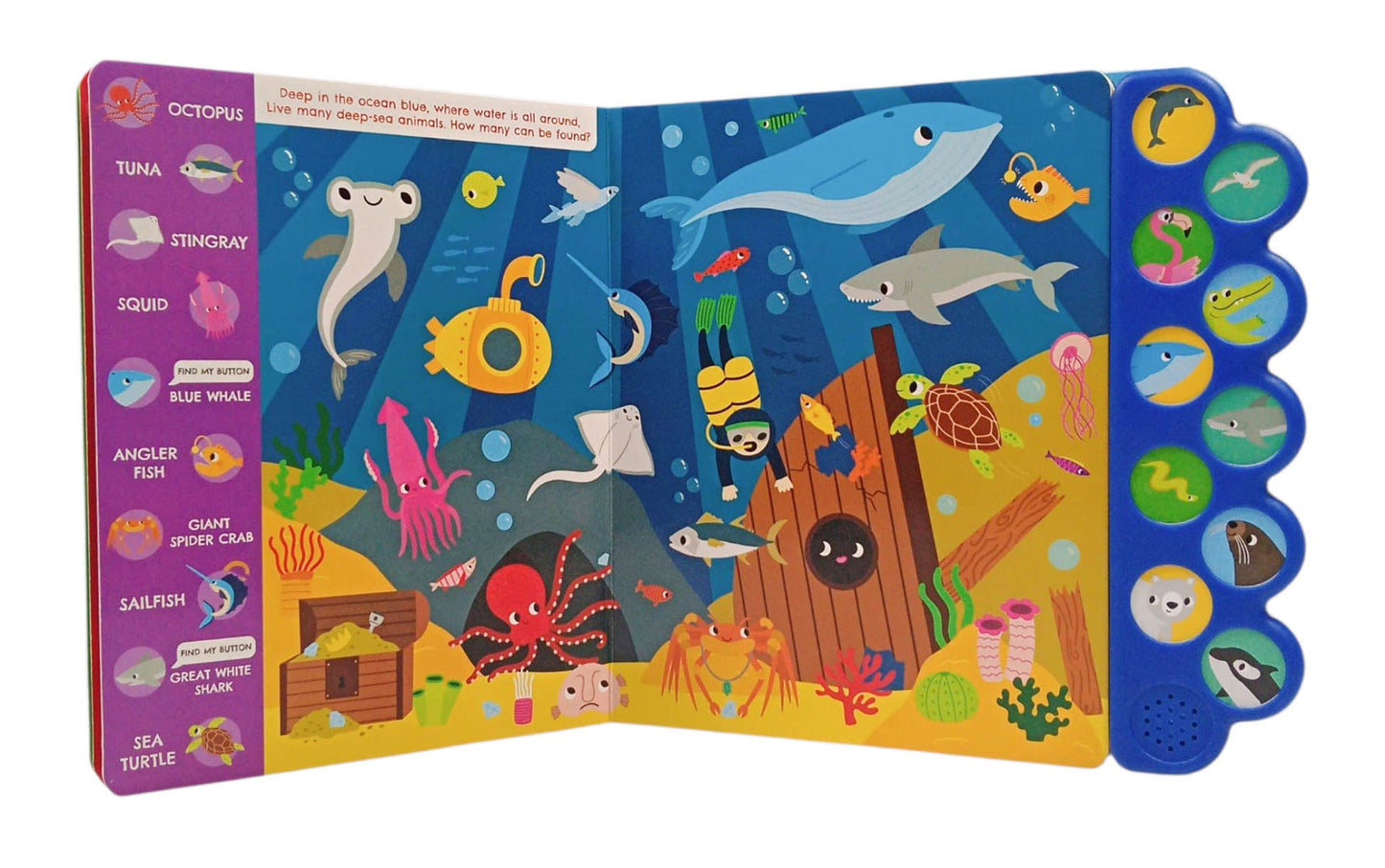 Look and Find Noisy Ocean Sound Book with 10 Ocean Sounds for Kids