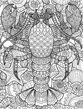 Under The Sea Creative Pages Coloring Book - Jaiman Toys