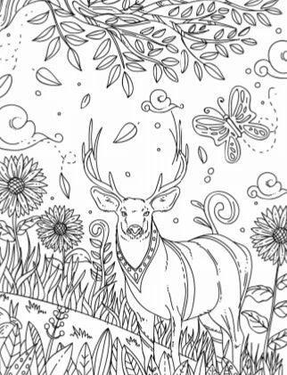 Backyard Bliss Creative Pages Coloring Kit - Jaiman Toys