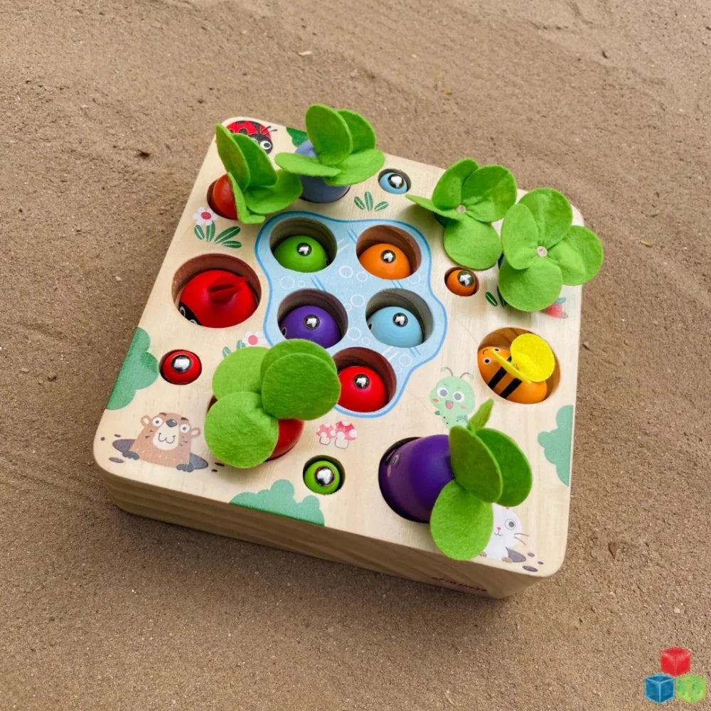 Open Ended 3 In 1 Magnetic Fishing Game - Jaiman Toys