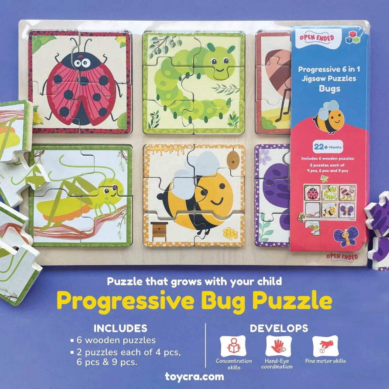 Open Ended Progressive 6 IN 1 Bug Puzzle - Jaiman Toys