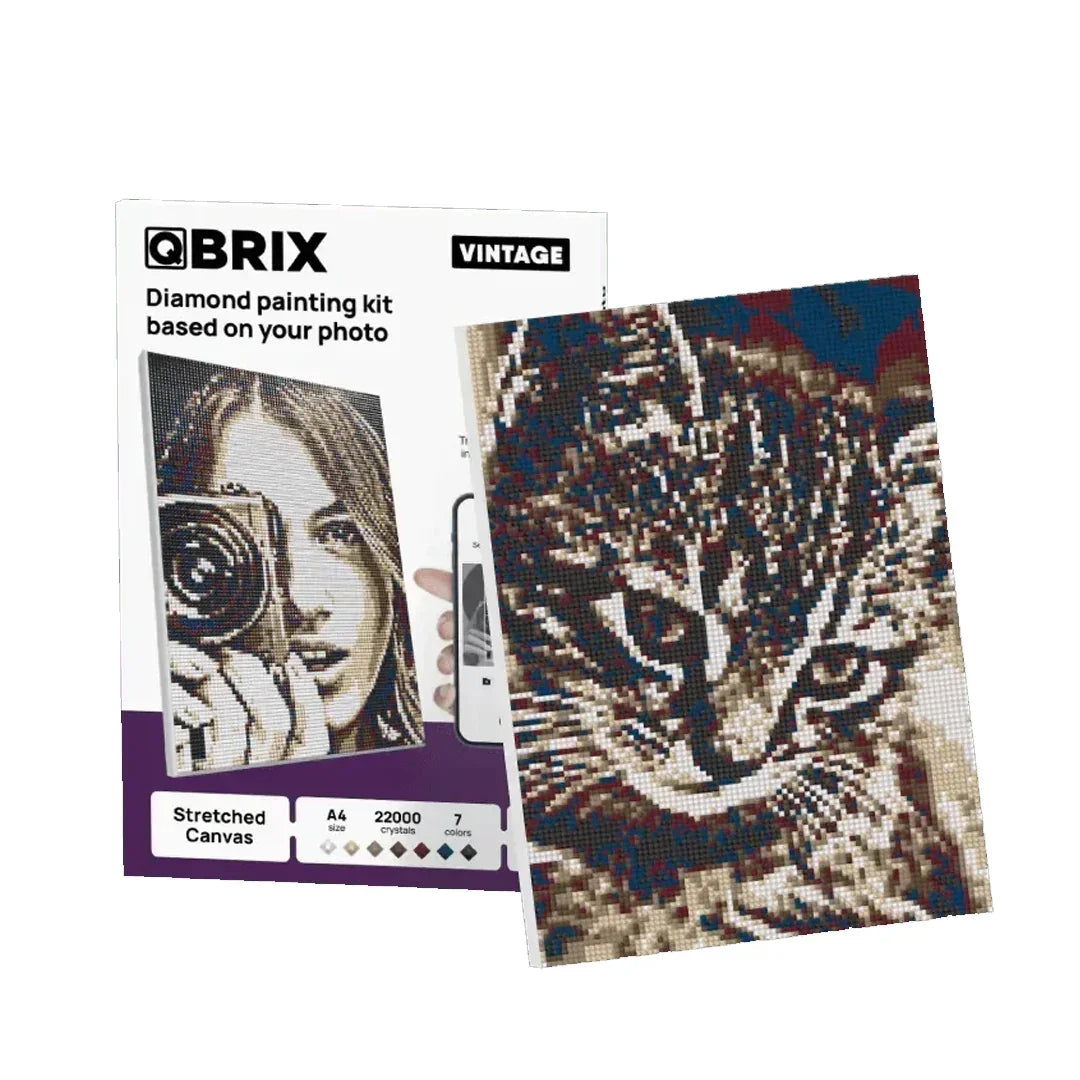 QBRIX A4 Vintage Personalised Diamond Painting Mosaic Art , 22000 Crystals| DIY Custom Craft Kit