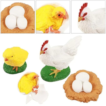 Chicken Life Cycle Educational Toy Set – Hen, Eggs & Chick Hatching Model for Kids Learning