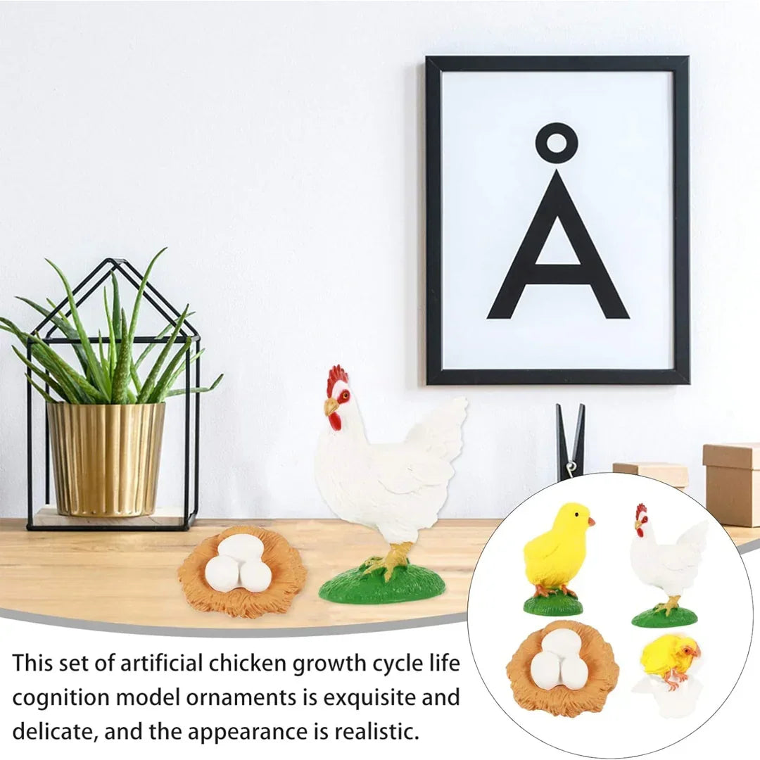 Chicken Life Cycle Educational Toy Set – Hen, Eggs & Chick Hatching Model for Kids Learning