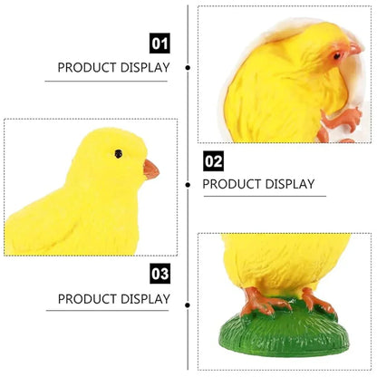 Chicken Life Cycle Educational Toy Set – Hen, Eggs & Chick Hatching Model for Kids Learning