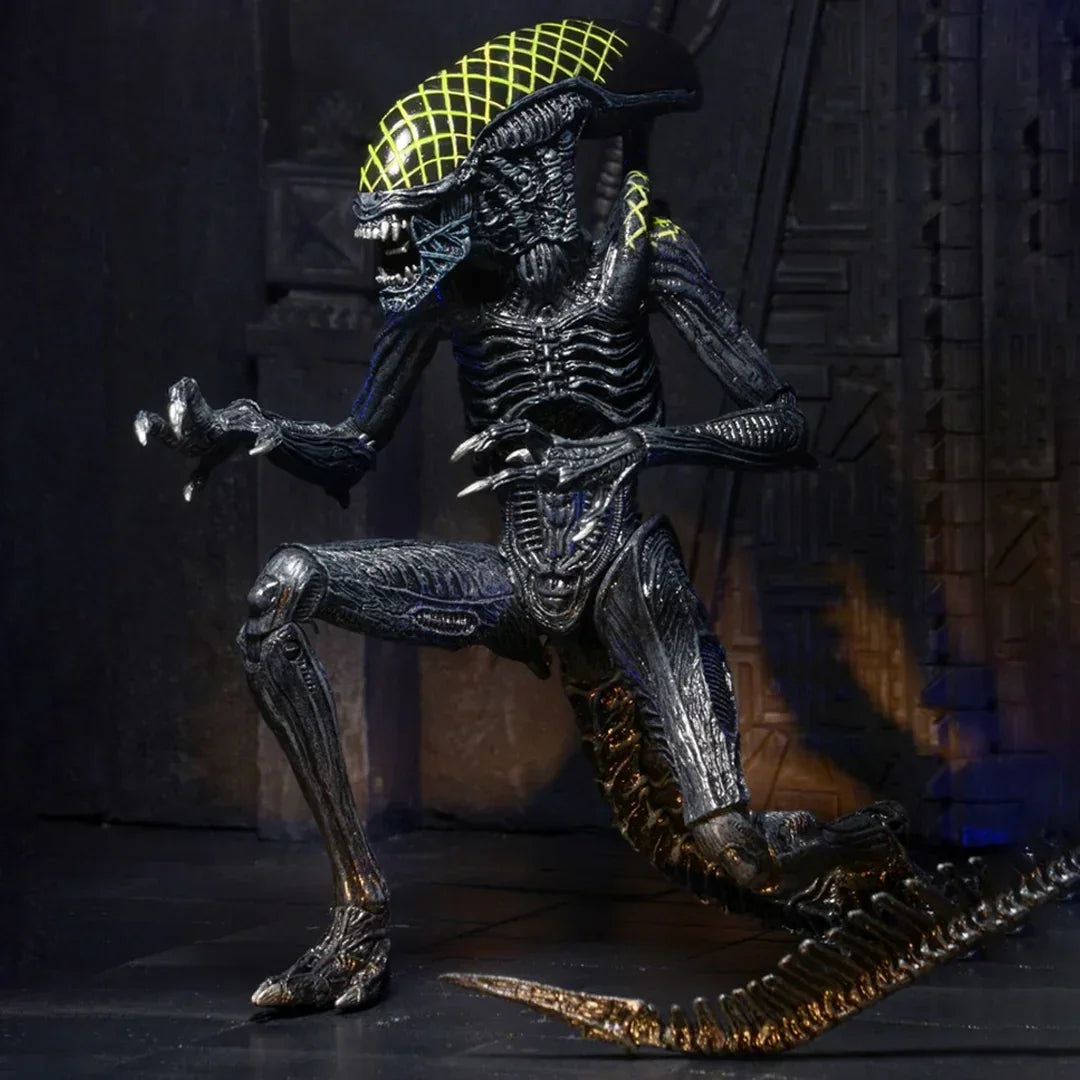 NECA Aliens Series 7 AvP Grid Xenomorph Action Figure (7" Scale) - Jaiman Toys