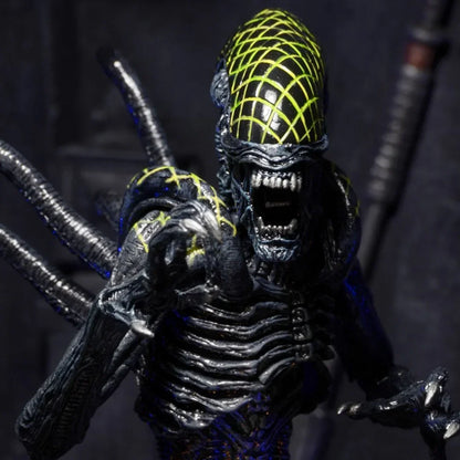 NECA Aliens Series 7 AvP Grid Xenomorph Action Figure (7" Scale) - Jaiman Toys