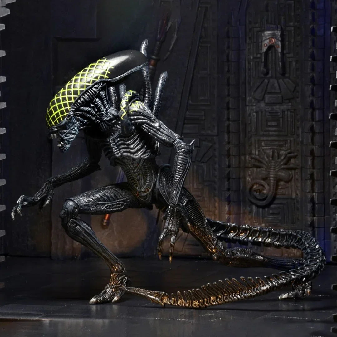 NECA Aliens Series 7 AvP Grid Xenomorph Action Figure (7" Scale) - Jaiman Toys