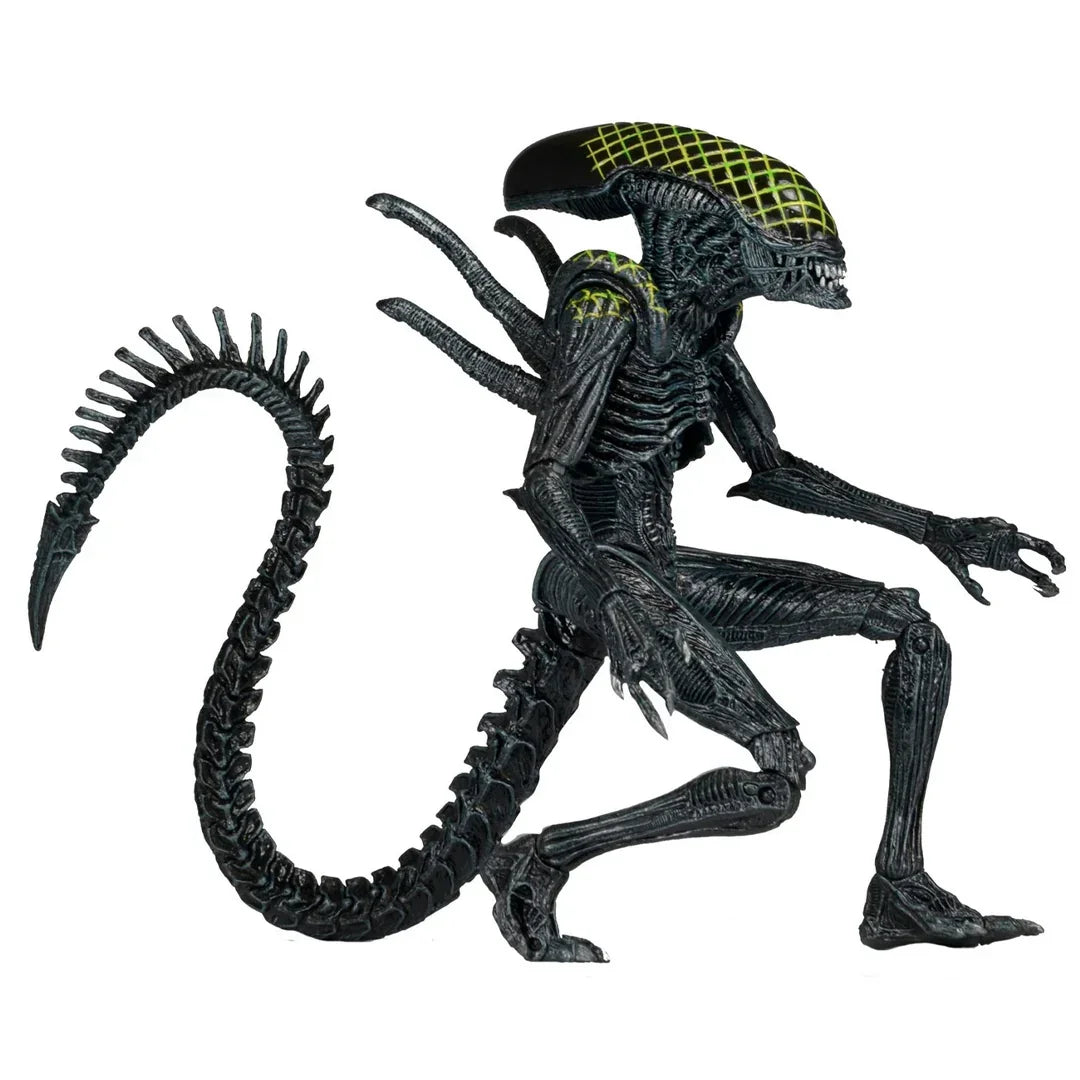 NECA Aliens Series 7 AvP Grid Xenomorph Action Figure (7" Scale) - Jaiman Toys