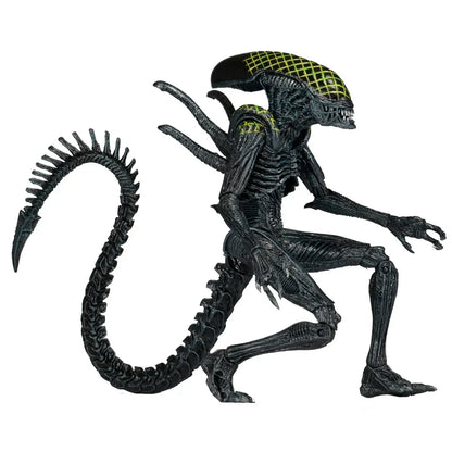 NECA Aliens Series 7 AvP Grid Xenomorph Action Figure (7" Scale) - Jaiman Toys