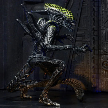 NECA Aliens Series 7 AvP Grid Xenomorph Action Figure (7" Scale) - Jaiman Toys