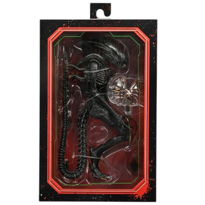 Alien Romulus Xenomorph Action Figure (9 Inch) – Movie Collectible with Multiple Accessories & Display Stand