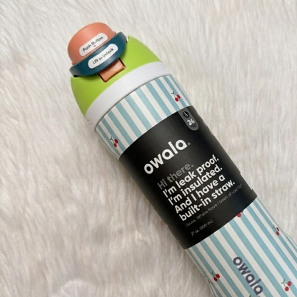 Owala FreeSip Insulated Stainless Steel Water Bottle 27oz. / 800ml – Leak-Proof Travel Bottle with Built-in Straw (Pack of 1)