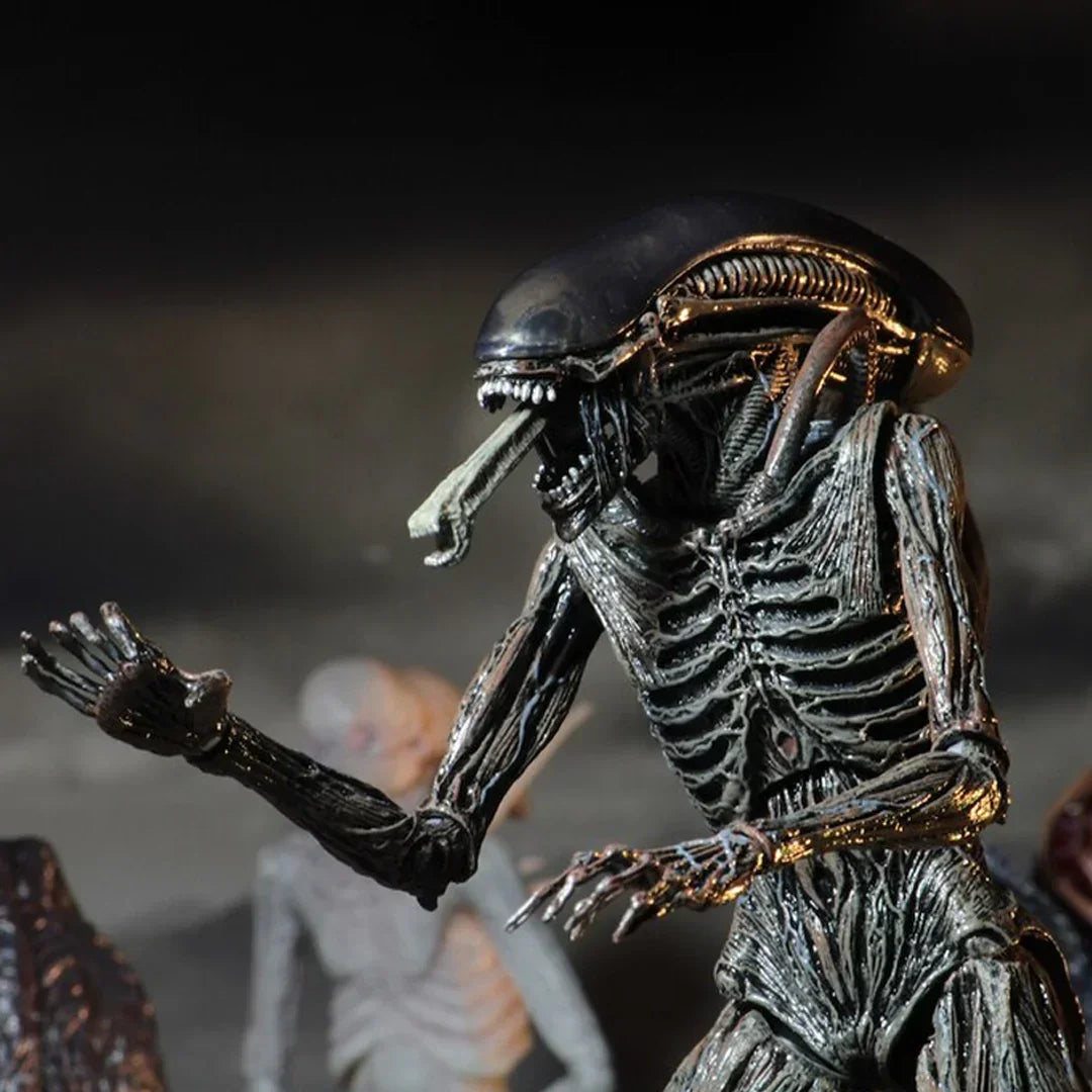 Detailed alien action figure collectible toy with black exoskeleton and extended jaw displayed.