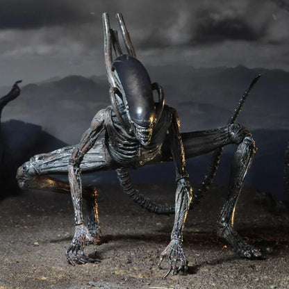 Alien creature action figure with elongated head and tail posed on rocky terrain