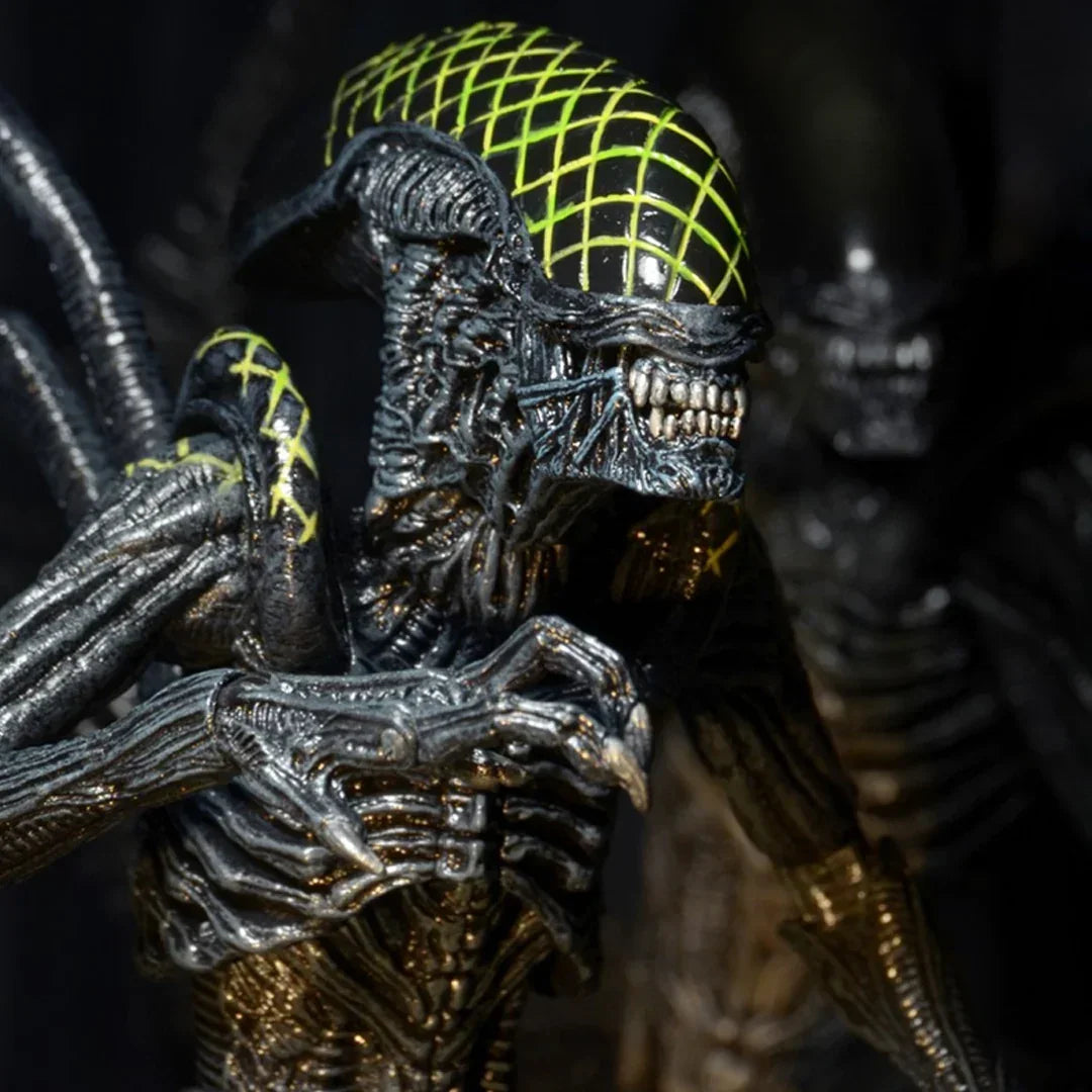 NECA Aliens Series 7 AvP Grid Xenomorph Action Figure (7" Scale) - Jaiman Toys