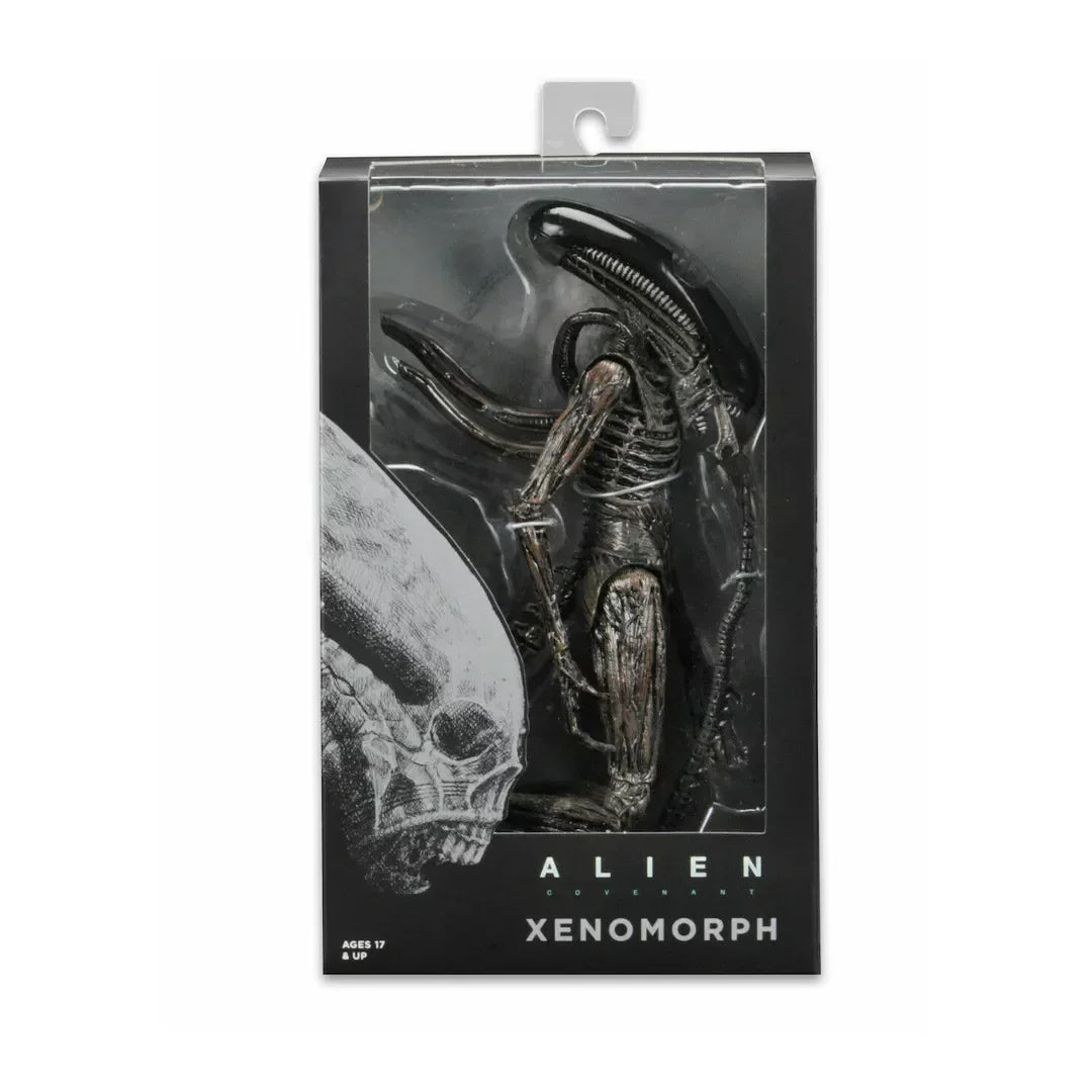 Alien Xenomorph action figure from Alien Covenant in black display box, collectible toy